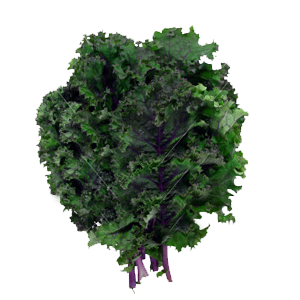 prod-kale